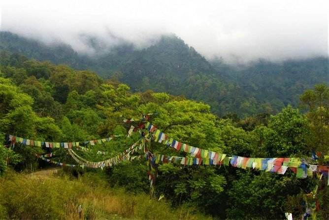 Private Half-Day Off-Road Safari in Shivapuri-Nagarjun Park  - Kathmandu - Traveler Photos and Reviews