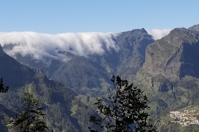 Private Half Day Off Road Tour in Madeira - Tour Pricing and Booking