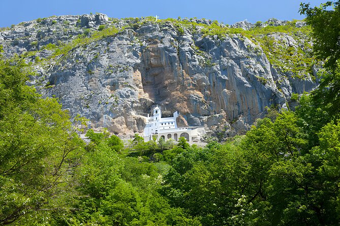 Private Half-Day Ostrog Monastery Tour - Reviews