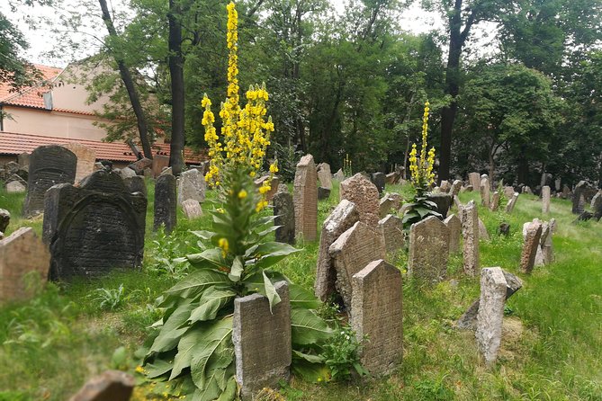 Private Half-Day Prague Walking Tour: Stories of Jewish Prague - Frequently Asked Questions