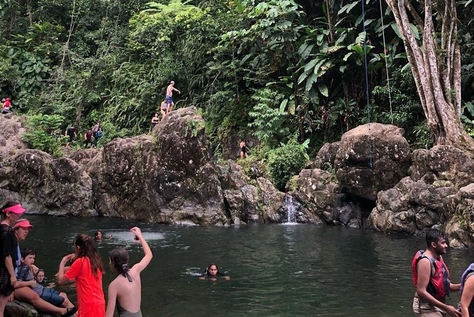 Private Half-Day Puerto Rico Island of Enchantment Beach and Jungle Adventure - Tour Highlights