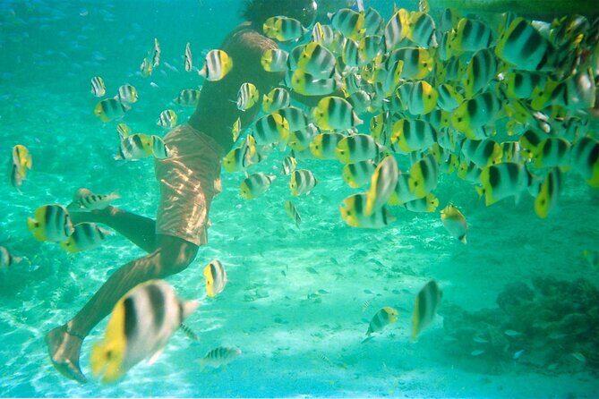 Private Half Day Sailing Excursion on the Lagoon of Tahiti - Good To Know