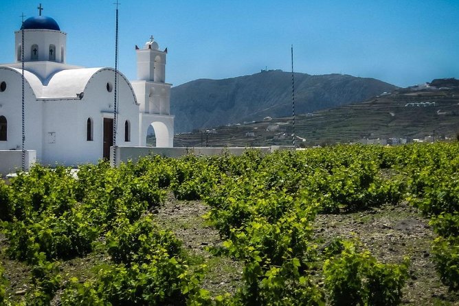 PRIVATE Half Day Santorini Road Tour 4 Hours Book With Us - Private Transportation