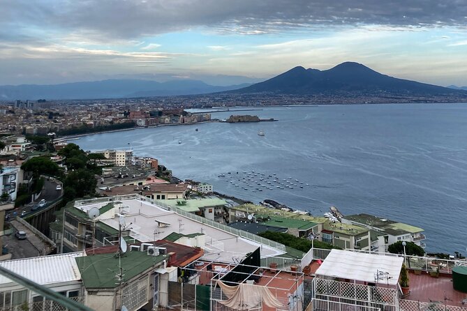 Private Half-Day Sightseeing Tour of Vesuvius National Park - Tour Highlights