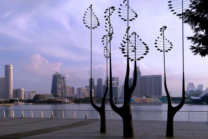 Private Half Day Singapore City Tour With Botanical Orchid Garden - Expert Commentary and Insights