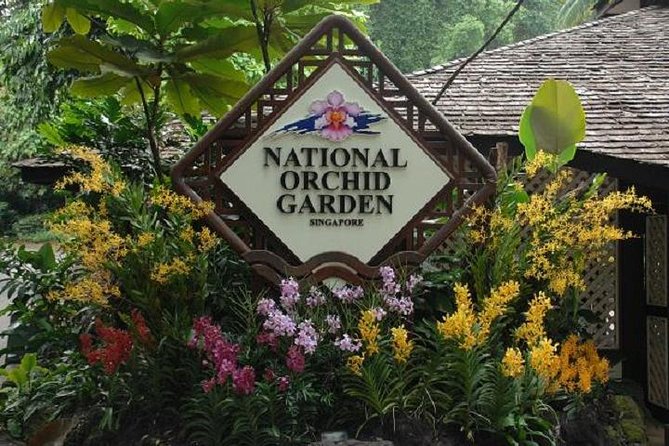 Private Half Day Singapore City Tour With Botanical Orchid Garden - Convenient Transportation and Hotel Pickup