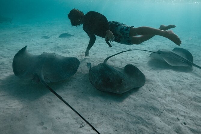 Private Half Day Snorkeling in Moorea - Confirmation and Booking Information