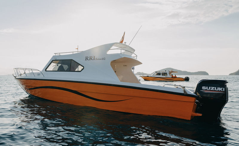 Private Half Day Speedboat Tour from Labuan Bajo - What to know before you book