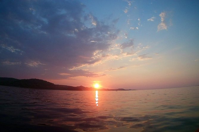 Private Half Day Speedboat Tour to Zadars Nearby Islands - Customer Experience