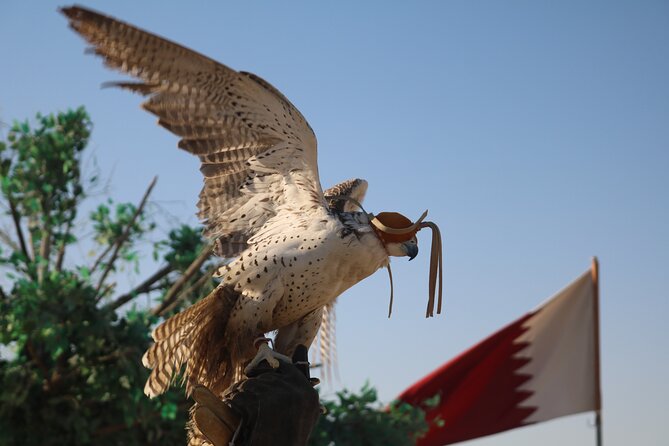 Private Half Day Sunrise Desert Tour in Doha - Additional Information