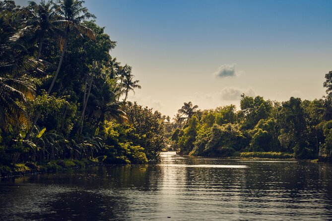 Private Half Day Sunset Cruise With Village Life and Local Food - Village Life Experience