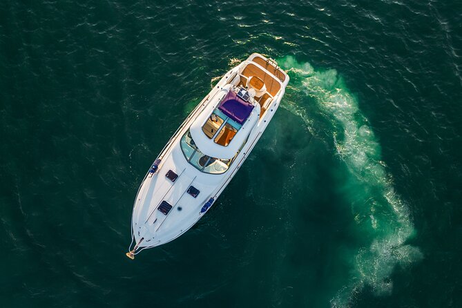 Private Half Day Sydney Harbour Cruise for up to 12 Guests - Meeting and Pickup