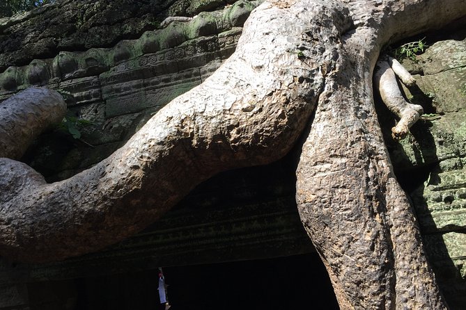 Private Half Day To Jungle Temple-Taprohm & Banteay Kdei Temples - Pickup Information