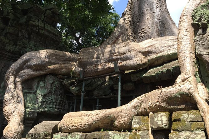Private Half Day To Jungle Temple-Taprohm & Banteay Kdei Temples - Customer Reviews