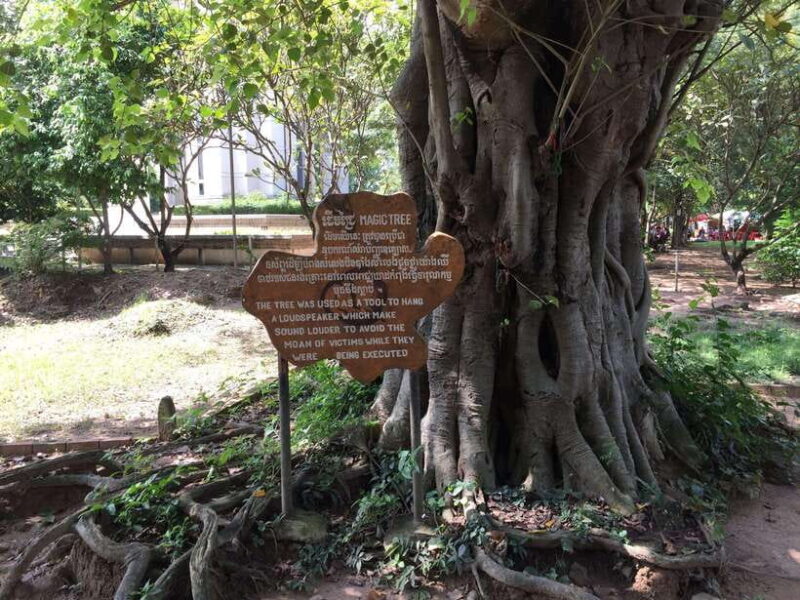 Private Half Day to Killing Field and S21 Genocidal Museum - Who Will Love This Tour?
