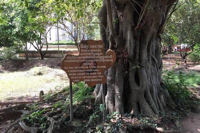 Private Half Day To Killing Field & S21 Genocidal Museum in Phnom Penh - Reflection and Peace at Choeung Ek