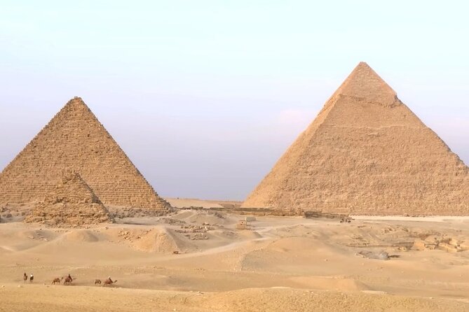 Private Half-Day Tour at the Pyramids of Giza and Sphinx - Tour Operator Information