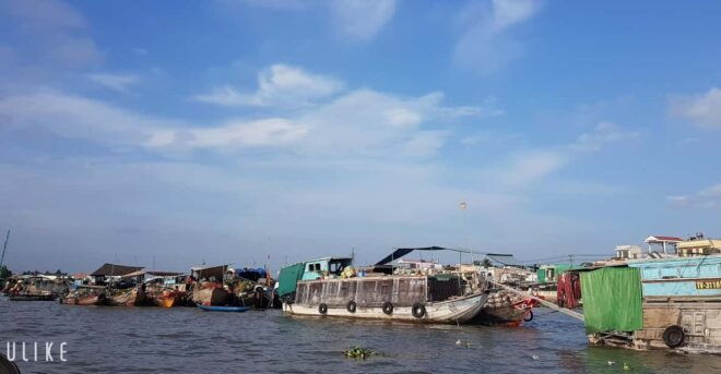 Private Half Day Tour - Cái Răng Floating Market - Included Features