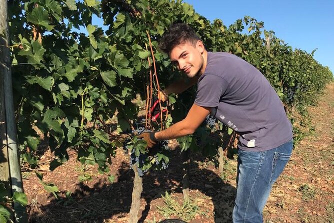 PRIVATE Half-Day Tour: Chianti Classico Wine Experience. - Cancellation Policy