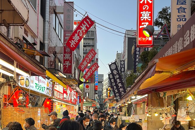Private Half-Day Tour Colorful and Busy Street in Central Tokyo - Start Time and Duration