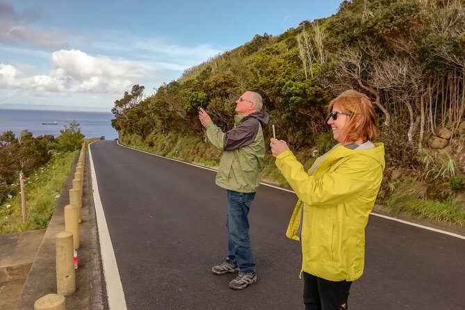 Private Half-Day Tour - Faial Island (Up to 8 People) - The Sum Up