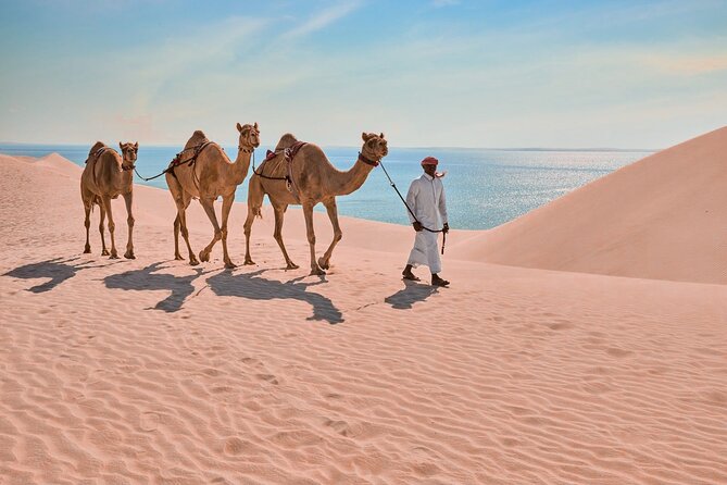 Private Half-Day Tour From Doha to the Desert With Camel Ride - Common Questions