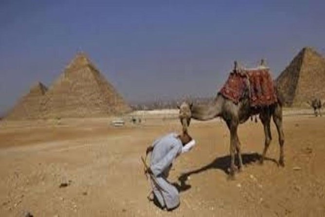 Private Half- Day Tour: Great Pyramids - Sphinx - Egyptian Museum - About the Operator