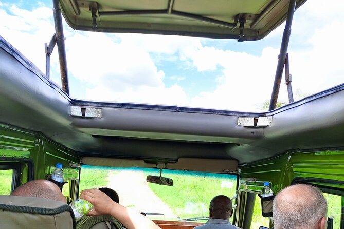 Private Half-Day Tour in Akagera National Park - What to Expect on the Tour