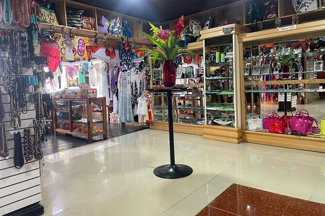 Private Half Day Tour in Dominican Republic with Local Guide - Practical Considerations