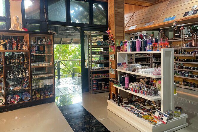 Private Half Day Tour in Dominican Republic with Local Guide - The Sum Up