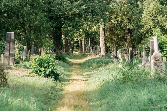 Private Half-Day Tour in Jewish Vienna - Itinerary