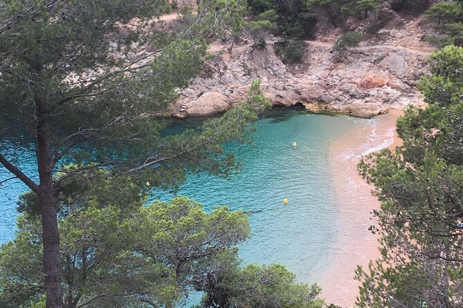 Private Half Day Tour in Monserrat With Driver - Pricing and Reservation