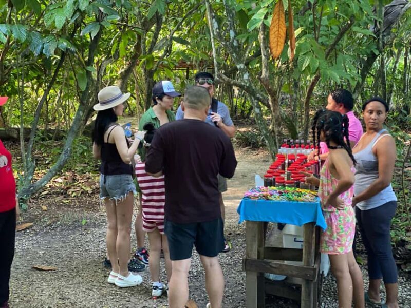 Private Half Day Tour in Punta Cana-Higüey with Local Guide - The Practicalities: How the Tour Works