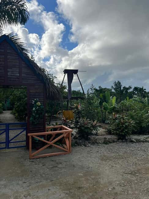 Private Half Day Tour in Punta Cana-Higüey with Local Guide - Authentic Experiences That Shine