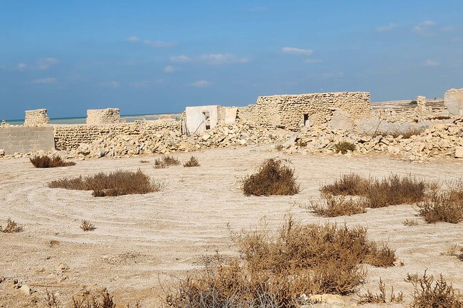 Private Half Day Tour in the North of Qatar - Recommended Group Size
