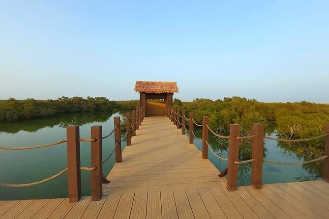 Private Half Day Tour in the North of Qatar - Optional Add-Ons