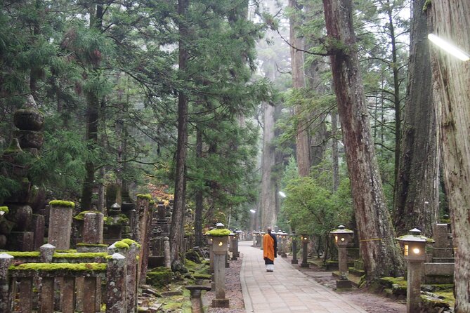 Private Half- Day Tour in Wakayama Koyasan - Pricing and Booking