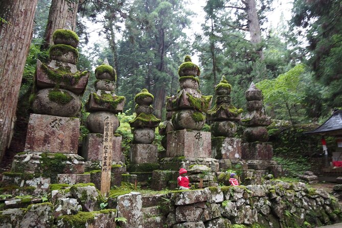 Private Half- Day Tour in Wakayama Koyasan - Tour Overview