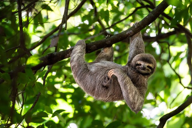 Private Half Day Tour Mombacho Cloud Forest From Granada - Pricing Information