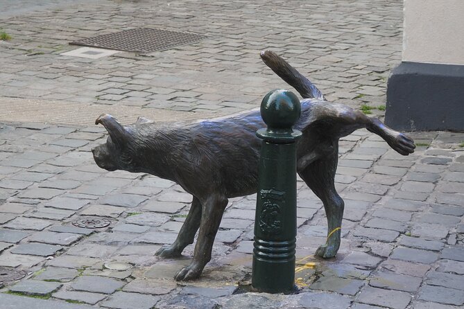 Private Half Day Tour of Brussels - Additional Information and Terms