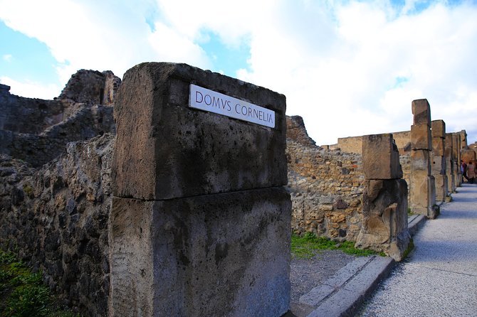 Private Half-Day Tour of The Pompeii Ruins Highlights and Mann - Tour Highlights