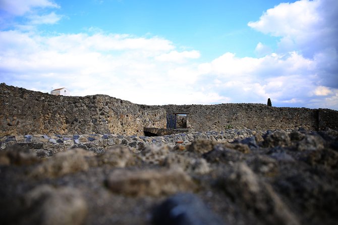Private Half-Day Tour of The Pompeii Ruins Highlights and Mann - Pricing and Booking