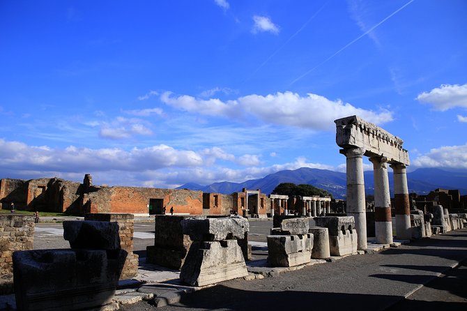 Private Half-Day Tour of The Pompeii Ruins Highlights and Mann - Background