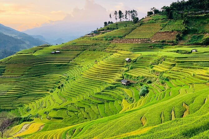 Private Half-Day Tour of Villages, Terrace Rice Fields by Car - In-Depth Look at the Tour