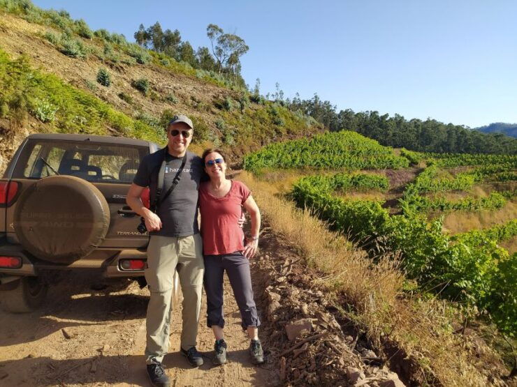 Private Half-Day Tour of Wine Fields - Good To Know