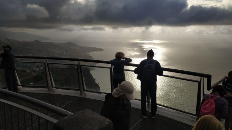 Private Half-Day Tour of Wine Fields - Tour Overview