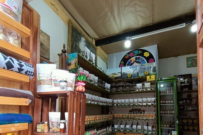 Private Half-Day Tour of Zacatlan and Chignahuapan from Puebla - Final Thoughts: Who is This Tour For?