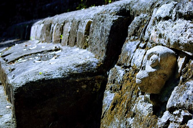 Private Half Day Tour to Coba Archaeological Zone and Cenote - Pricing and Inclusions