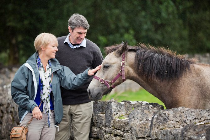 Private Half Day Tour To Connemara - Pickup and Logistics