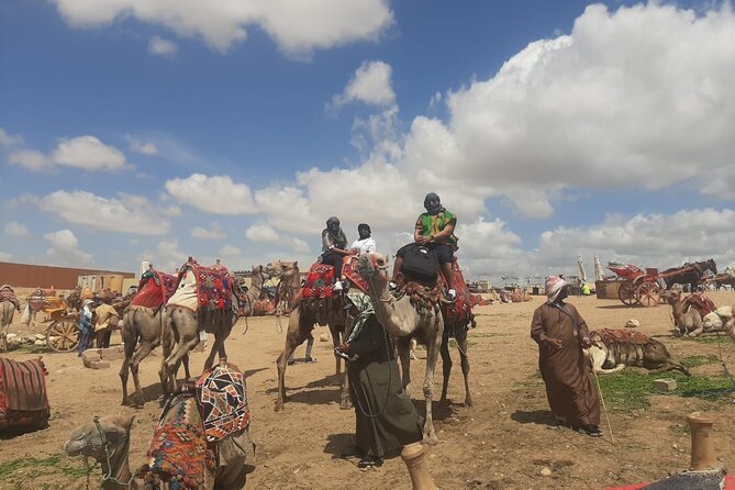 Private Half Day Tour to Giza Pyramids - Directions and Tips